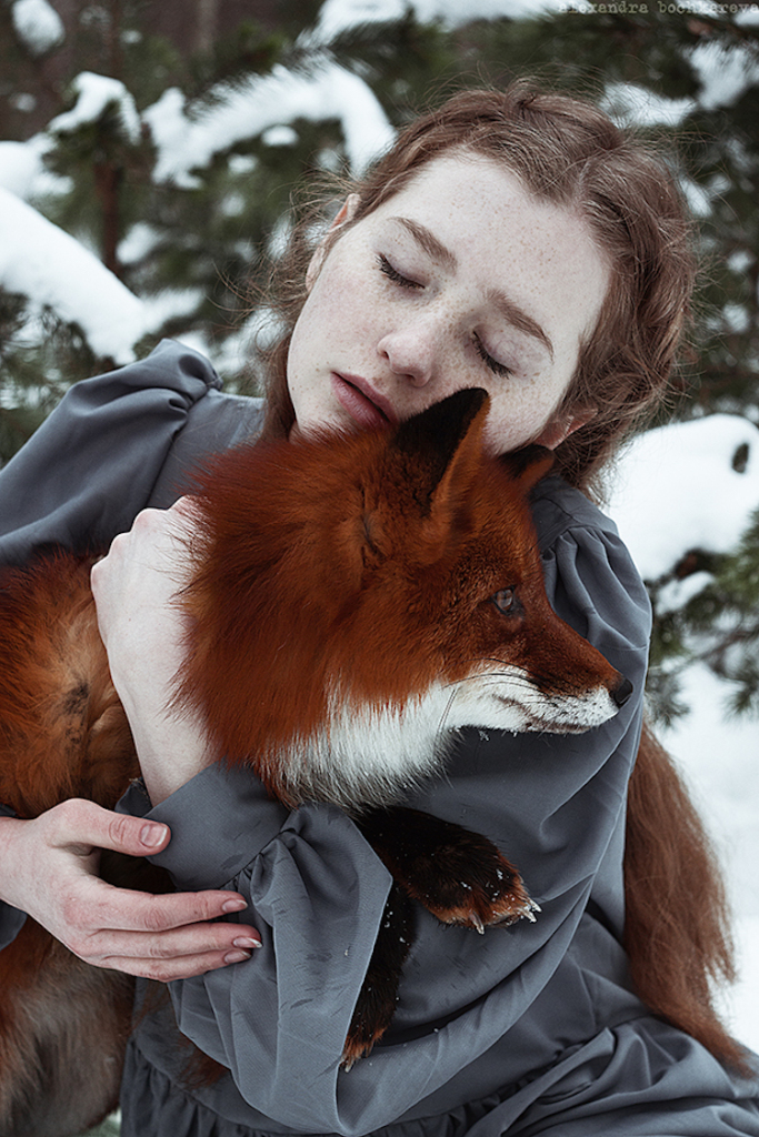 Fotógrafa russa Alexandra Bochkareva compara a beleza dos cabelos ruivos a raposas selvagens