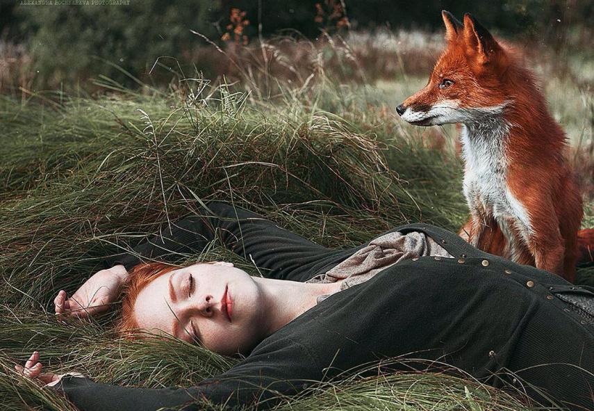 Fotógrafa russa Alexandra Bochkareva compara a beleza dos cabelos ruivos a raposas selvagens