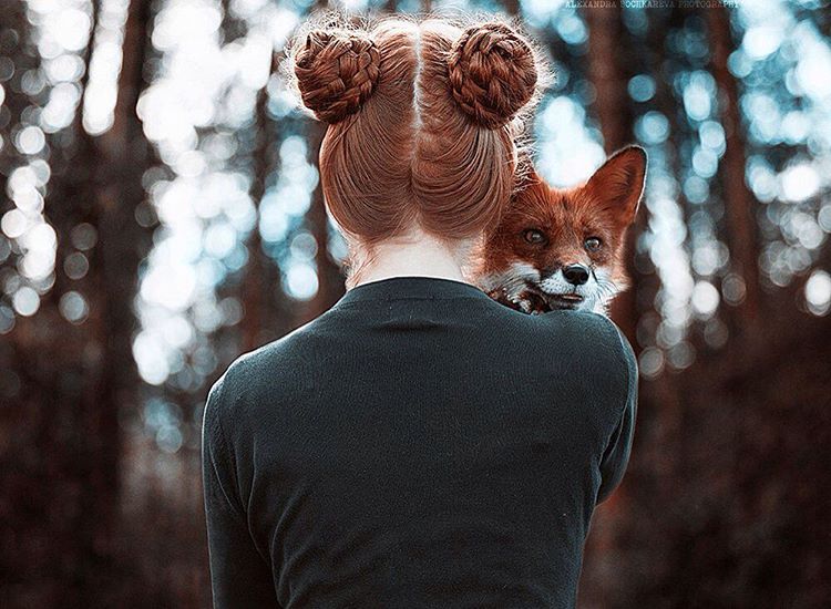 Fotógrafa russa Alexandra Bochkareva compara a beleza dos cabelos ruivos a raposas selvagens