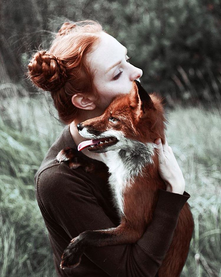 Fotógrafa russa Alexandra Bochkareva compara a beleza dos cabelos ruivos a raposas selvagens