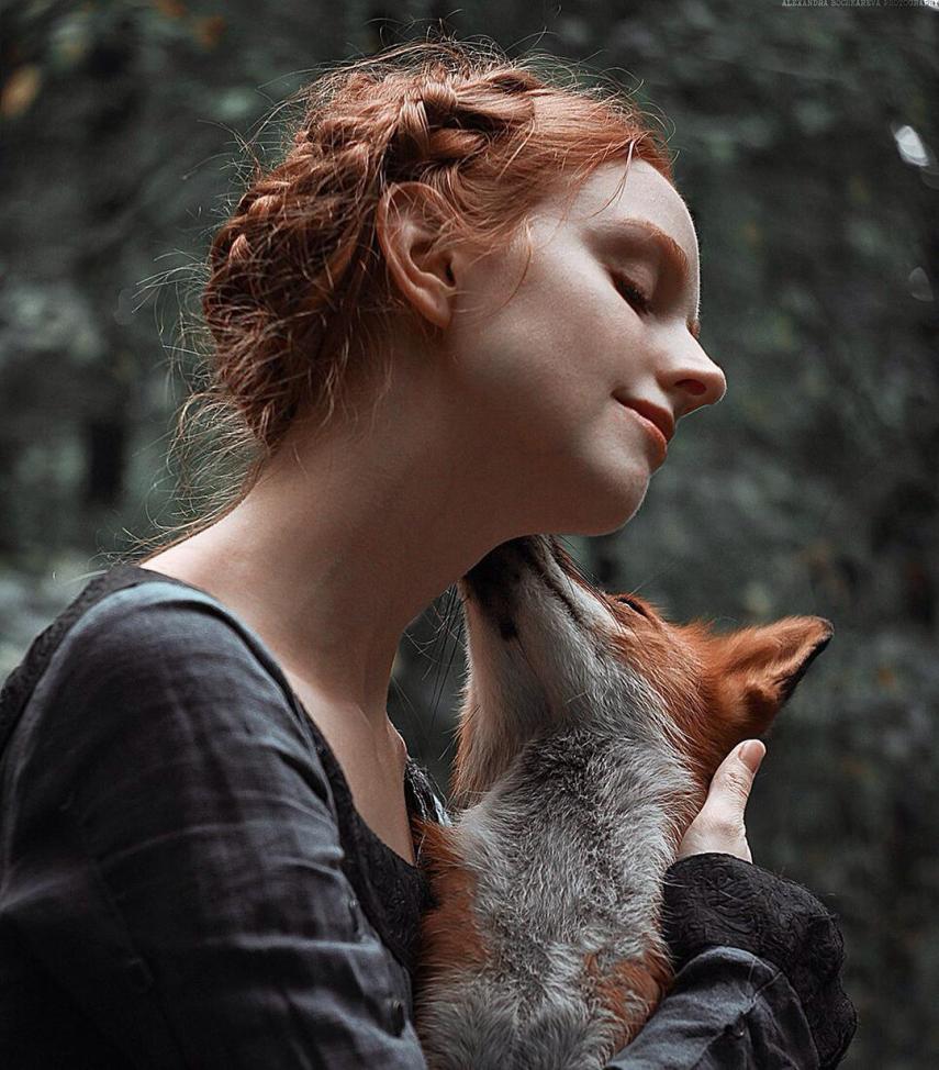 Fotógrafa russa Alexandra Bochkareva compara a beleza dos cabelos ruivos a raposas selvagens