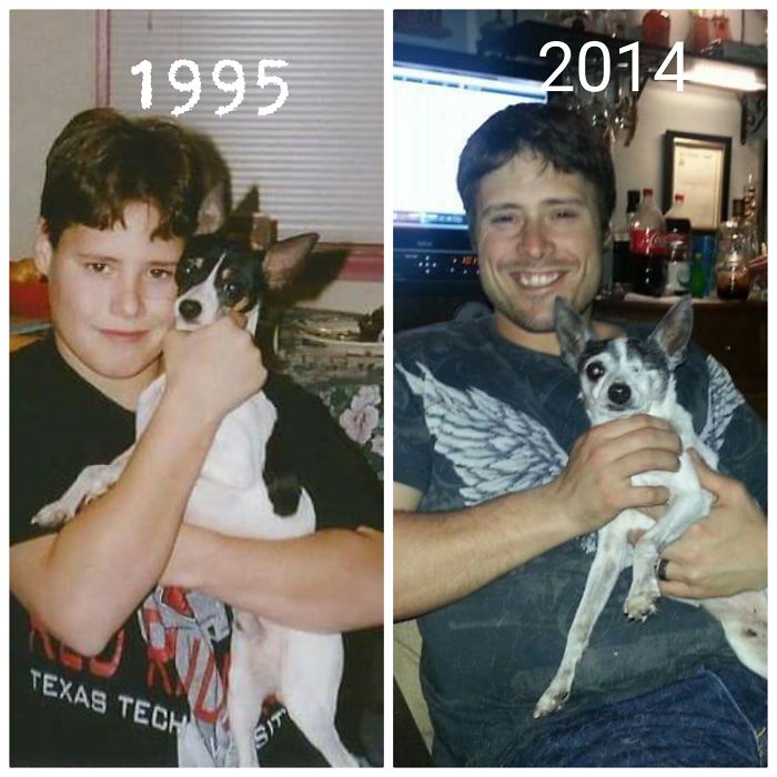 Antes e depois, pessoas e cachorros que cresceram juntos