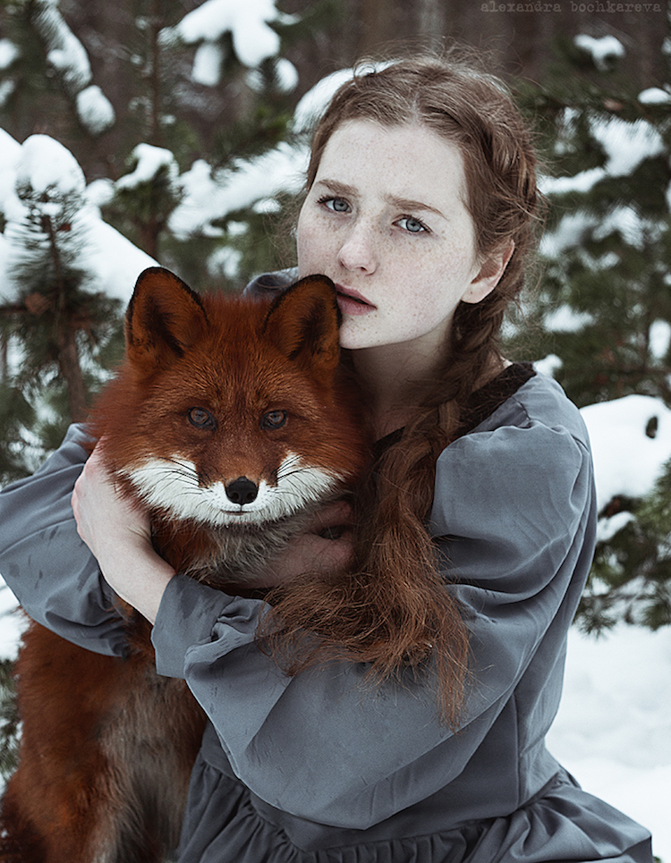 Fotógrafa russa Alexandra Bochkareva compara a beleza dos cabelos ruivos a raposas selvagens