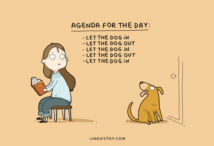 Agenda do dia: deixar o dog sair, deixar o dog entrar, deixar o dog sair, deixar o dog entrar...