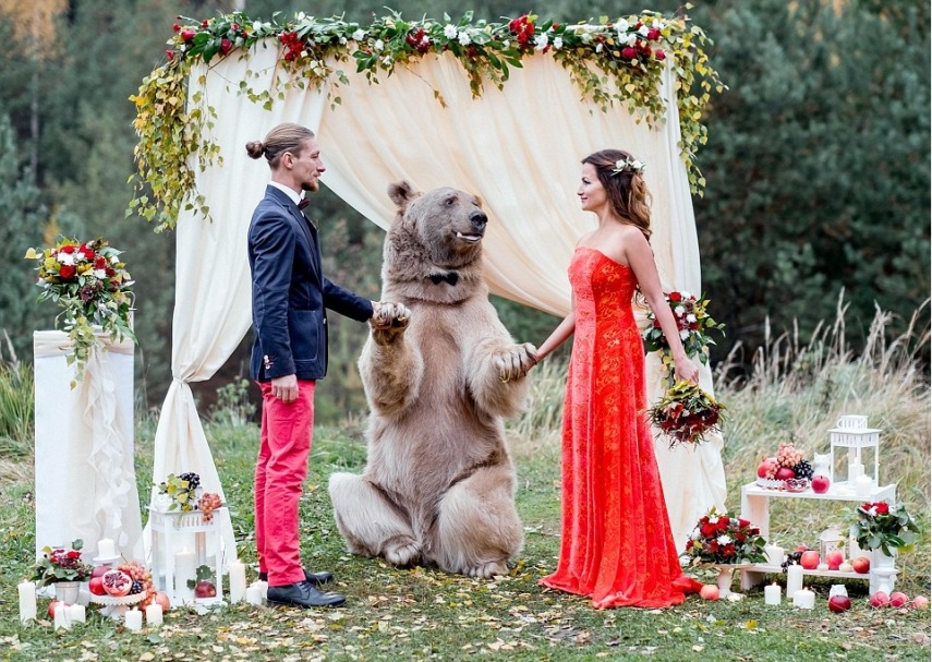 Esse é Stepan, o urso pardo que realizou o sonho de casamento de Denis e Nelya, um casal de Moscou