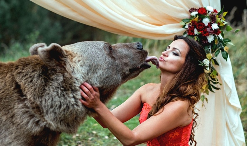 Esse é Stepan, o urso pardo que realizou o sonho de casamento de Denis e Nelya, um casal de Moscou