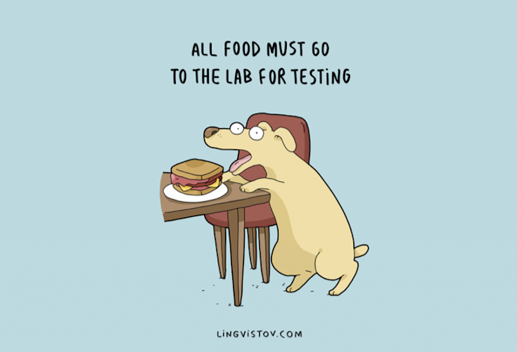 Todos os alimentos precisam ser passar pelo laboratório de testes dos caninos