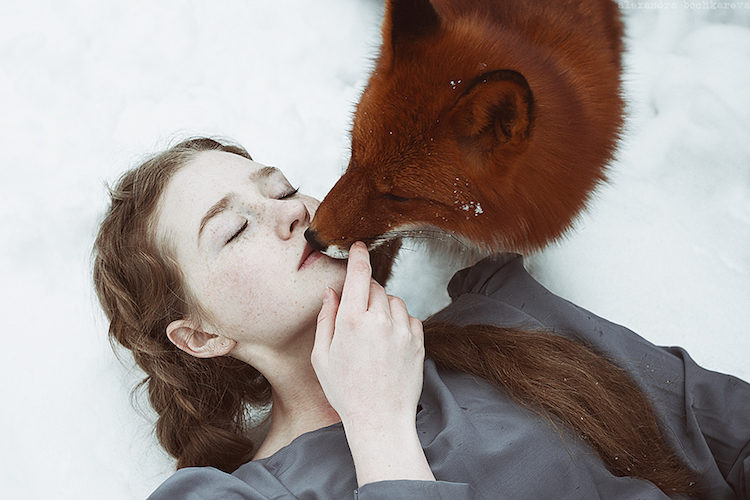 Fotógrafa russa Alexandra Bochkareva compara a beleza dos cabelos ruivos a raposas selvagens