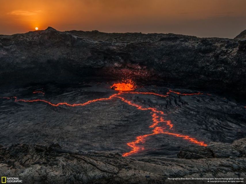 O concurso divulgou as 50 fotos finalistas do National Geographic Nature Photographer of the Year 2016