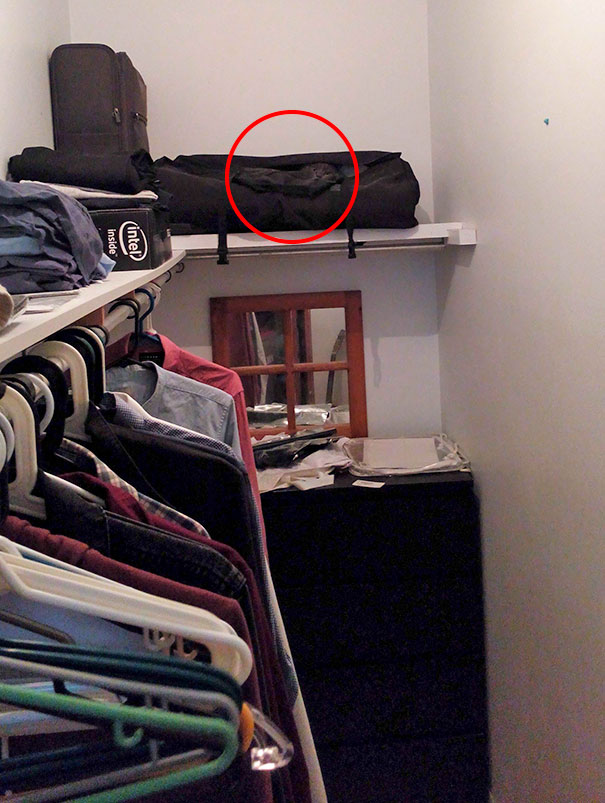 Os gatos são os reis da camuflagem!