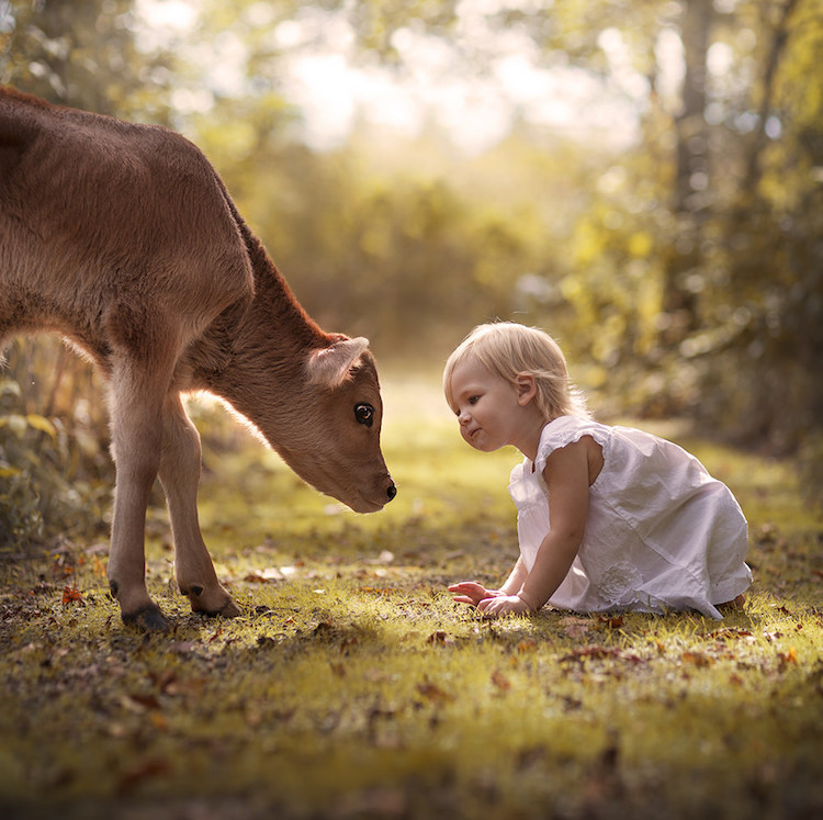 Fotógrafa retrata relação de crianças e bichos