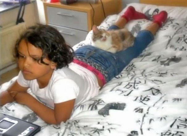 Uma menina de 7 anos encontrou o gato entre garrafas que foram jogadas no lixo. Ele estava faminto, desnutrido, desfigurado e precisando desesperadamente de amor. Ela levou o gato com seu pai ao veterinário e salvou a vida do felino