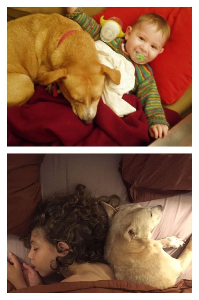 Antes e depois, pessoas e cachorros que cresceram juntos