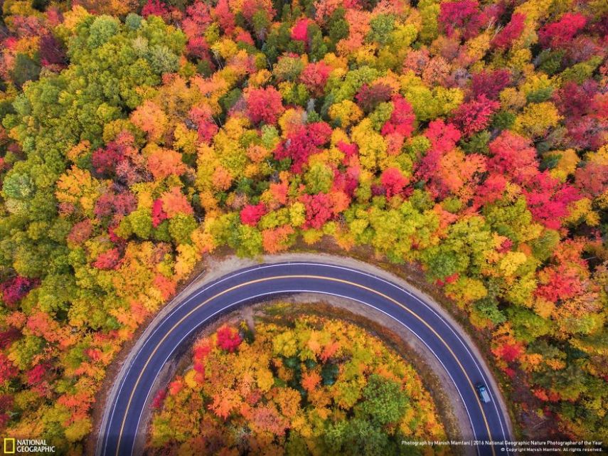 O concurso divulgou as 50 fotos finalistas do National Geographic Nature Photographer of the Year 2016