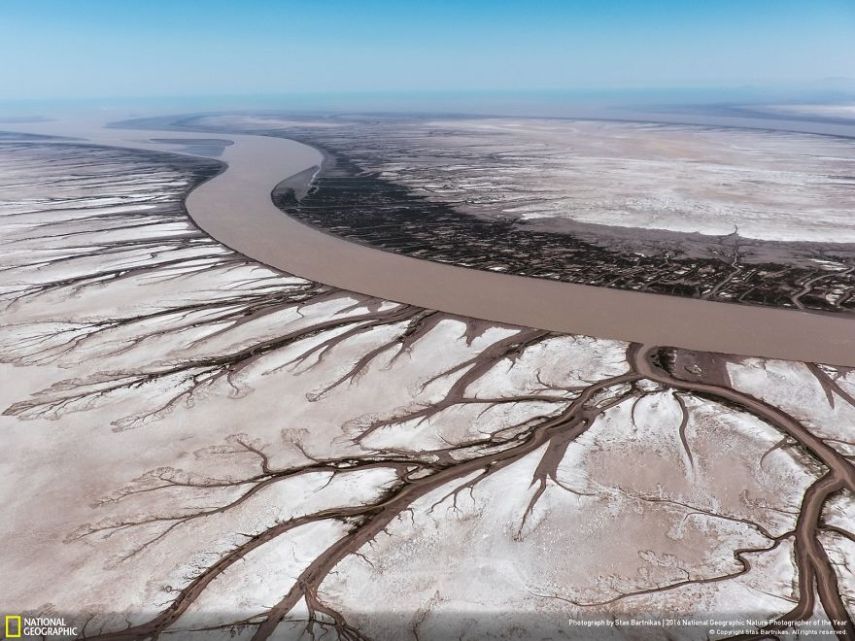O concurso divulgou as 50 fotos finalistas do National Geographic Nature Photographer of the Year 2016