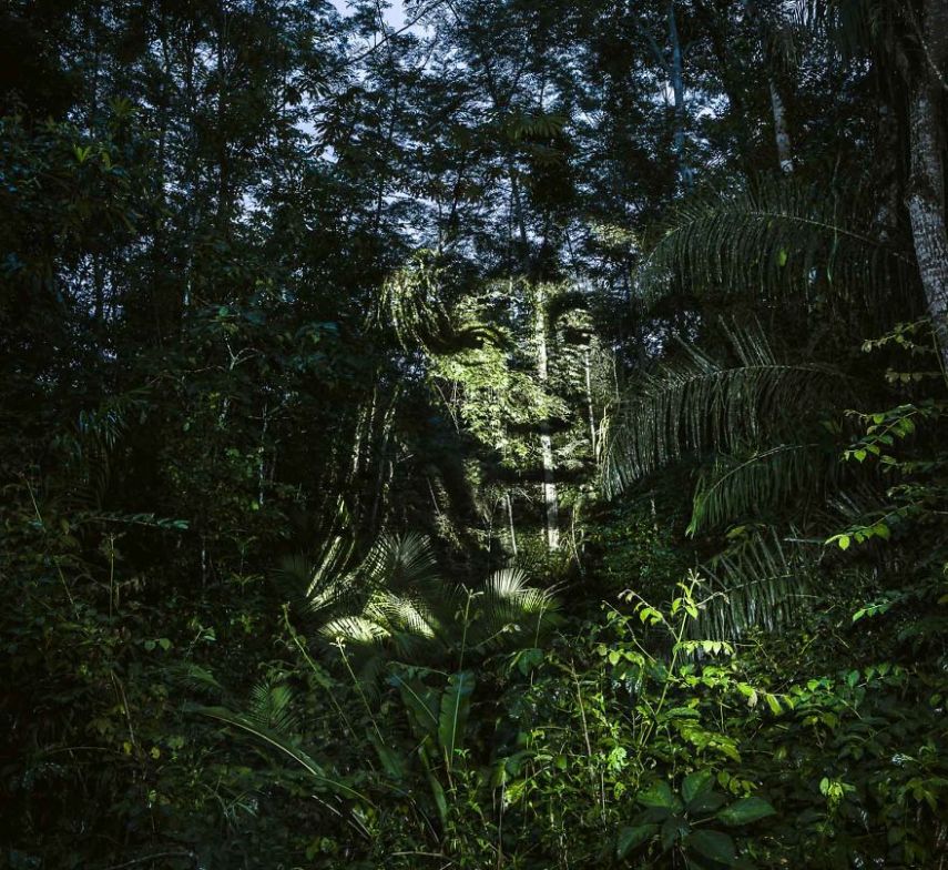 O fotógrafo francês Philippe Echaroux visitou a tribo indígena Paiter Surui para criar essas belas projeções na floresta amazônia, como um alerta do desmatamento que atinge homens, mulheres e crianças em Rondônia