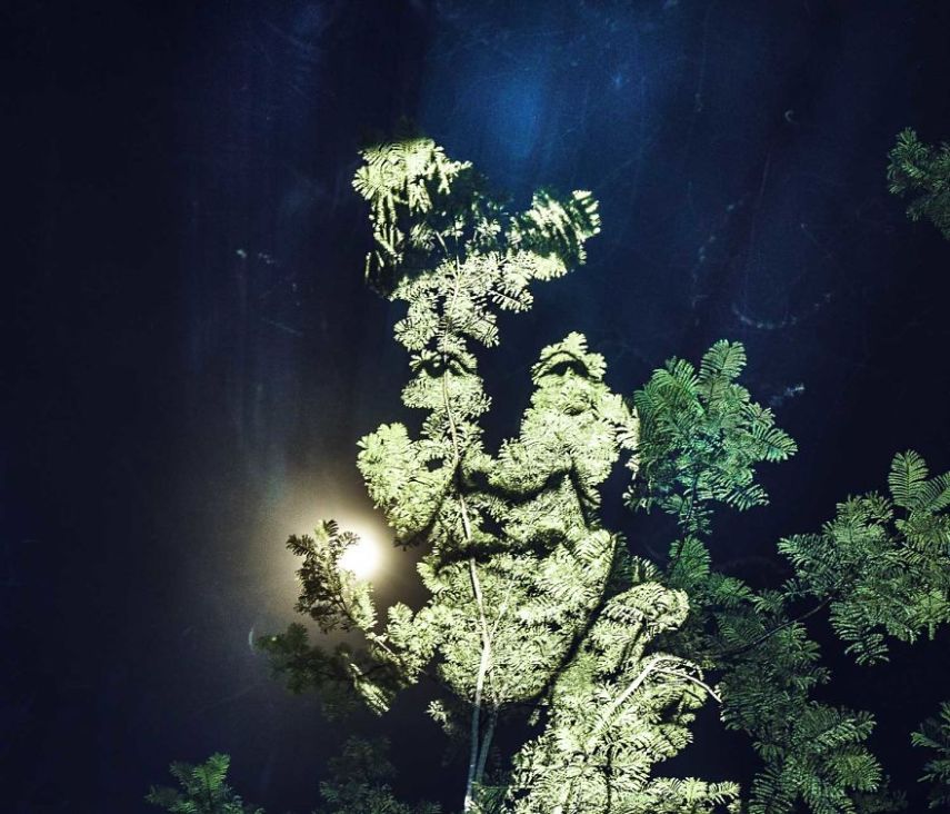 O fotógrafo francês Philippe Echaroux visitou a tribo indígena Paiter Surui para criar essas belas projeções na floresta amazônia, como um alerta do desmatamento que atinge homens, mulheres e crianças em Rondônia