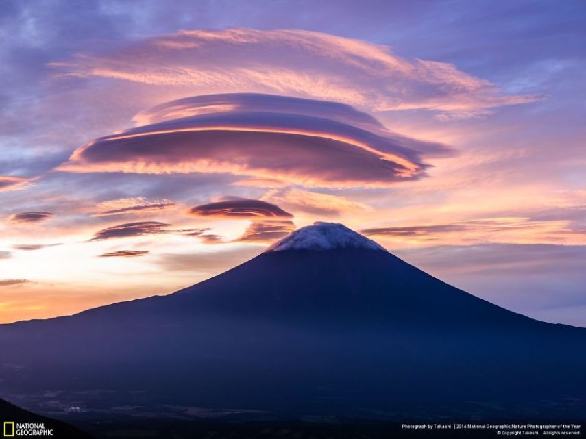 O concurso divulgou as 50 fotos finalistas do National Geographic Nature Photographer of the Year 2016