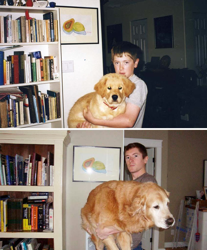 Antes e depois, pessoas e cachorros que cresceram juntos