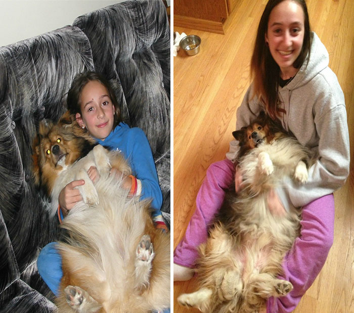 Antes e depois, pessoas e cachorros que cresceram juntos