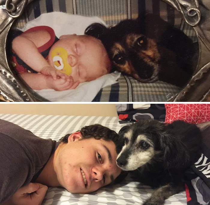 Antes e depois, pessoas e cachorros que cresceram juntos