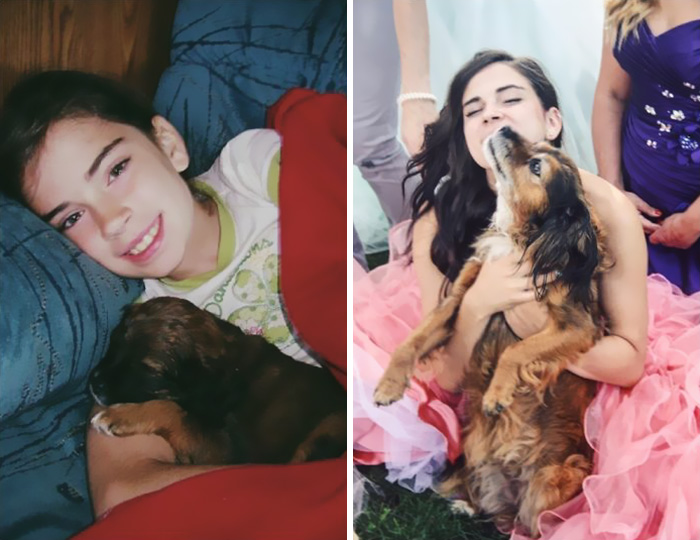 Antes e depois, pessoas e cachorros que cresceram juntos