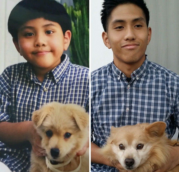 Antes e depois, pessoas e cachorros que cresceram juntos
