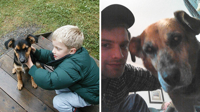 Antes e depois, pessoas e cachorros que cresceram juntos