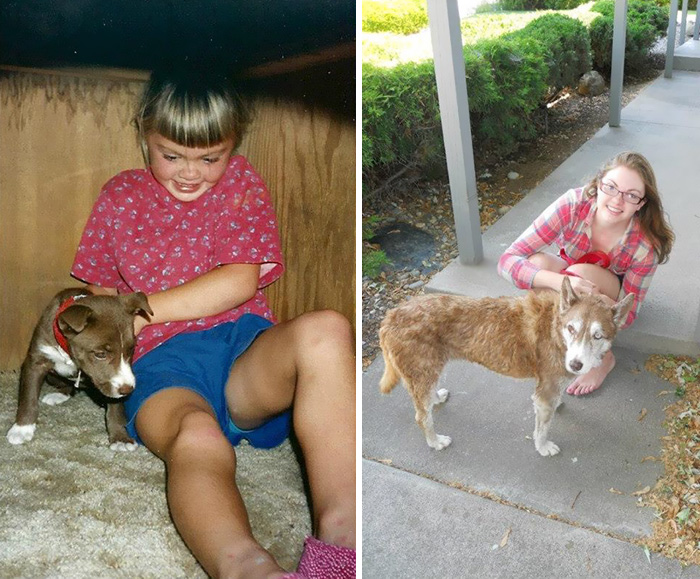 Antes e depois, pessoas e cachorros que cresceram juntos