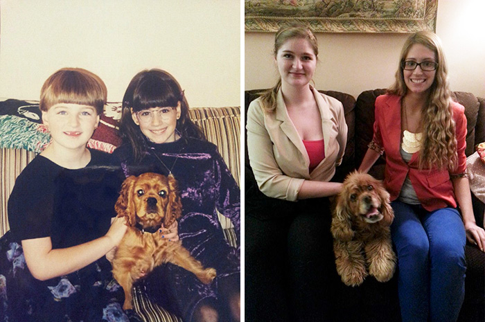 Antes e depois, pessoas e cachorros que cresceram juntos
