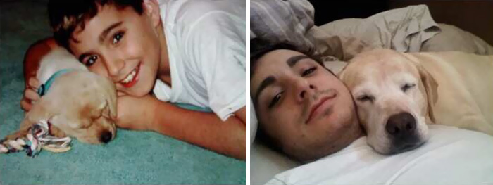 Antes e depois, pessoas e cachorros que cresceram juntos