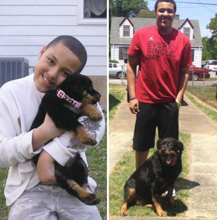 Antes e depois, pessoas e cachorros que cresceram juntos