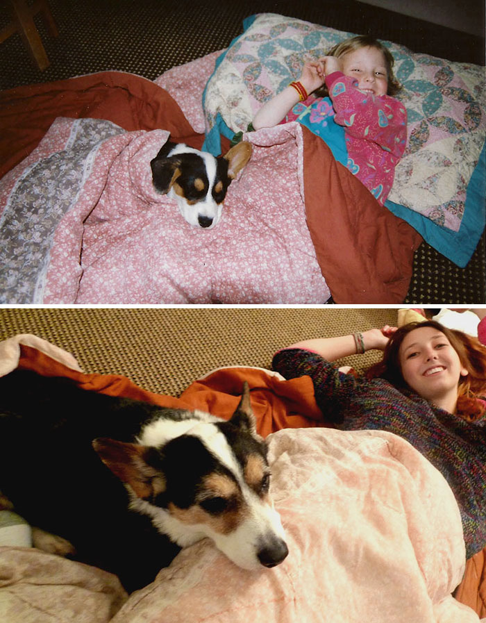 Antes e depois, pessoas e cachorros que cresceram juntos