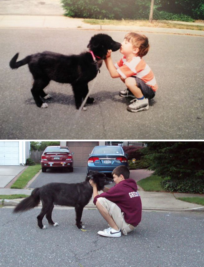 Antes e depois, pessoas e cachorros que cresceram juntos