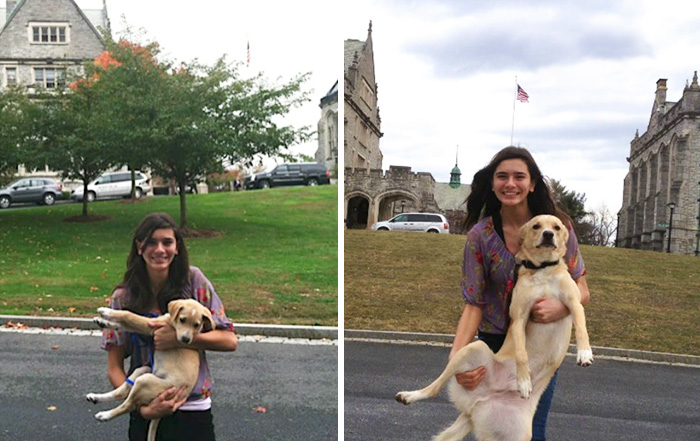 Antes e depois, pessoas e cachorros que cresceram juntos