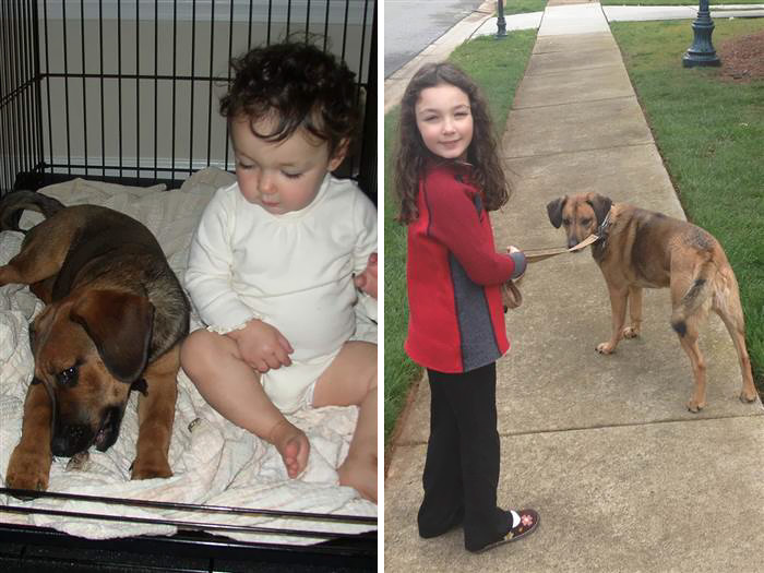 Antes e depois, pessoas e cachorros que cresceram juntos