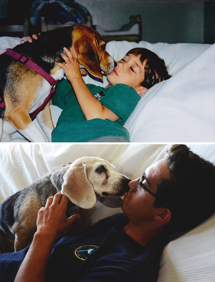 Antes e depois, pessoas e cachorros que cresceram juntos