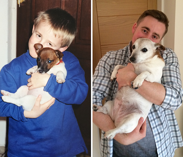 Antes e depois, pessoas e cachorros que cresceram juntos