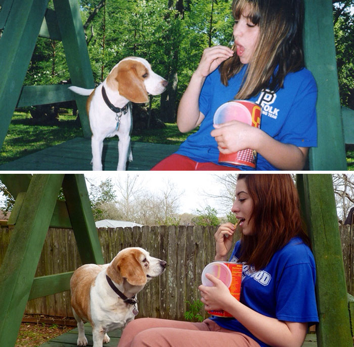 Antes e depois, pessoas e cachorros que cresceram juntos