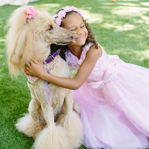 Esses peludos deram uma forcinha no casamento de seus tutores.