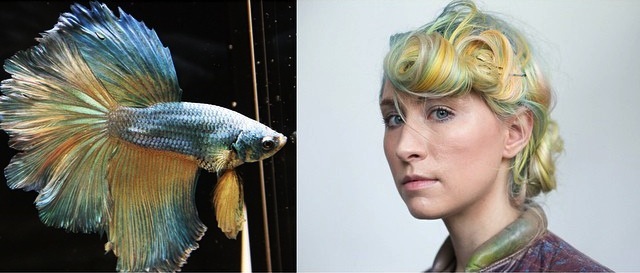 Colorista tentou reproduzir fluidez das cores do peixe em cabelo de modelo