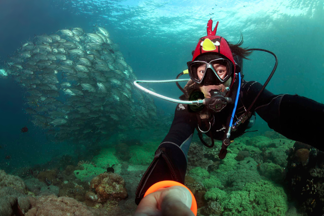 Jun V Lao já mergulhou mais de cinco mil vezes e vive registrando os encontros no fundo do mar, por isso ele decidiu selecionar suas melhores selfies debaixo d'água.