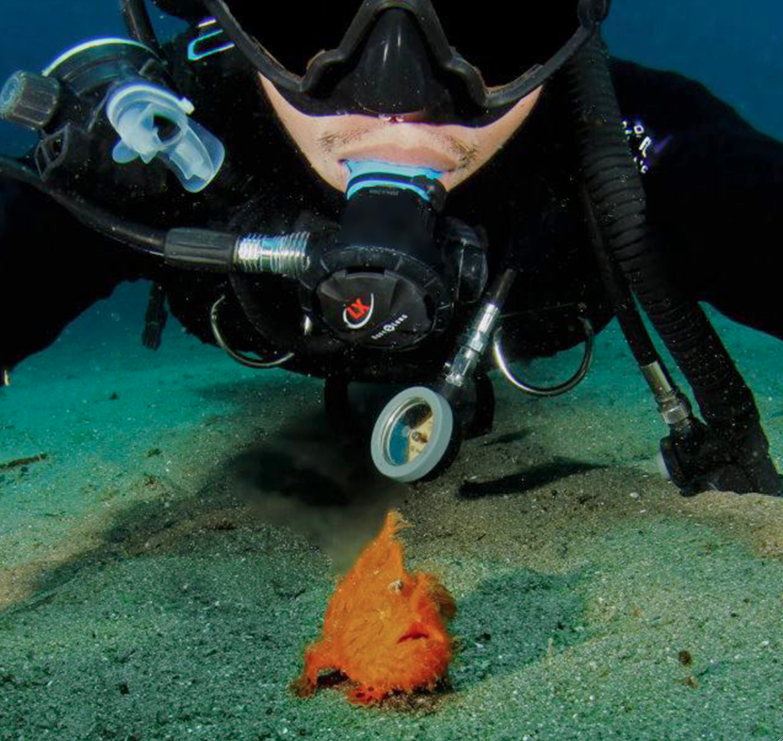 Jun V Lao já mergulhou mais de cinco mil vezes e vive registrando os encontros no fundo do mar, por isso ele decidiu selecionar suas melhores selfies debaixo d'água.