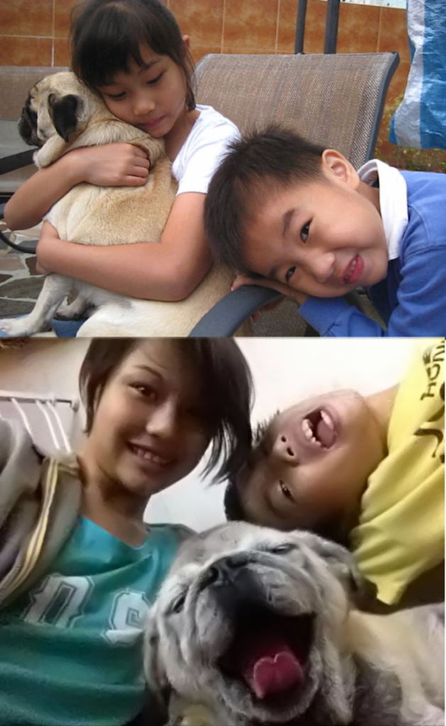 Antes e depois, pessoas e cachorros que cresceram juntos