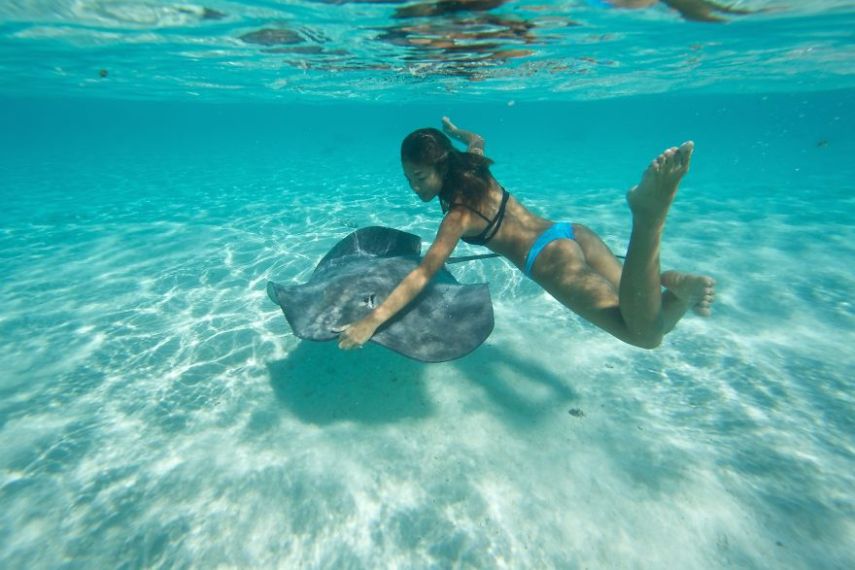 A fotógrafa Eve Riviere registrou o mergulho dela e de duas amigas com estes animais na ilha de Moorea, na Polinésia Francesa