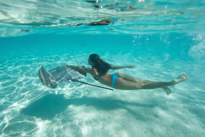 A fotógrafa Eve Riviere registrou o mergulho dela e de duas amigas com estes animais na ilha de Moorea, na Polinésia Francesa
