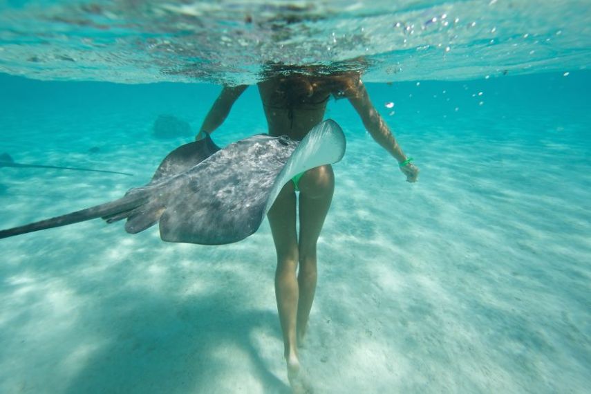 A fotógrafa Eve Riviere registrou o mergulho dela e de duas amigas com estes animais na ilha de Moorea, na Polinésia Francesa