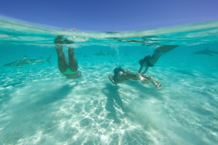 A fotógrafa Eve Riviere registrou o mergulho dela e de duas amigas com estes animais na ilha de Moorea, na Polinésia Francesa