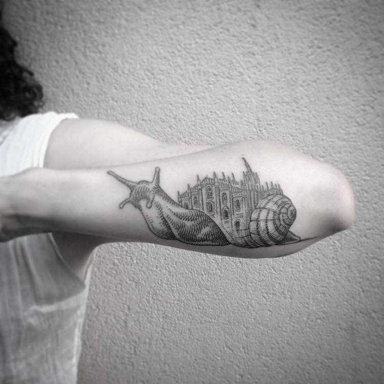 Animais 