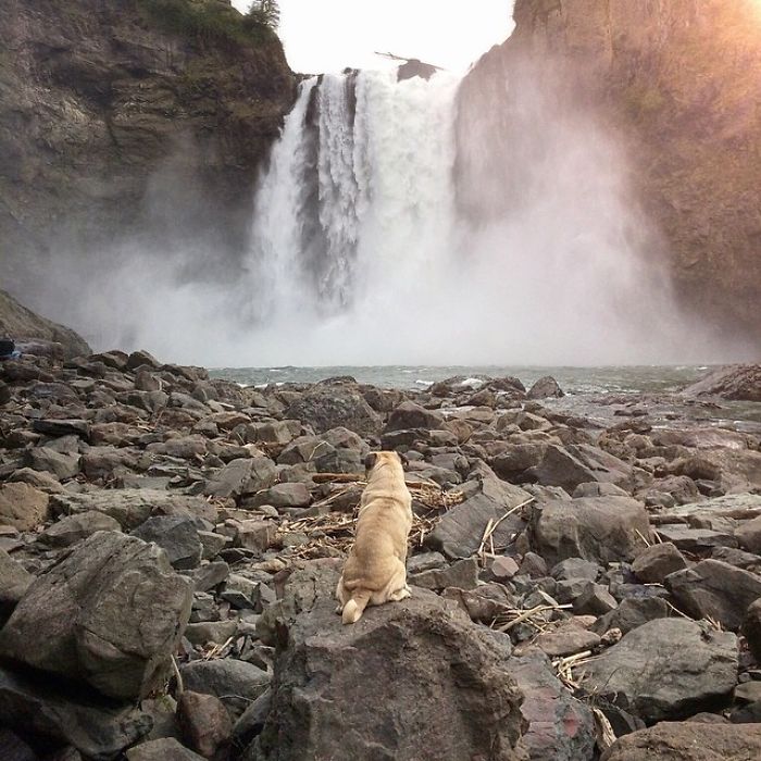 O fotógrafo Jeremy Veach leva seu companheiro de viagem para todos os lados e tira fotos lindas dos dois na estrada